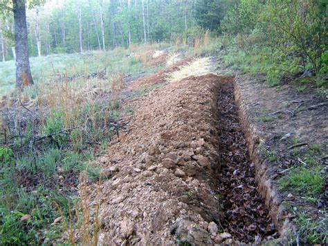 how to dig swale trees